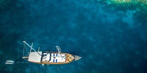 Drone Services