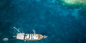 Drone Services