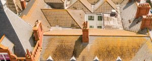 Aerial survey and inspection