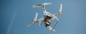 Aerial Survey